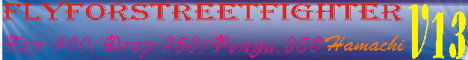 FlyForStreetFighter Banner