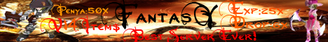 Fly For Fantasy Banner