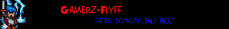 Gamerz - Flyff Banner