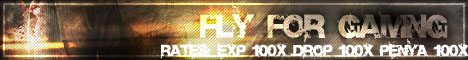 FlyForGaming Banner