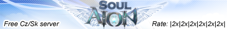 Soul Aion Banner