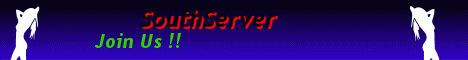 SouthServer Banner