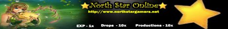 North Star Gamers Banner
