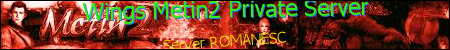 WingsMt2Romania Banner