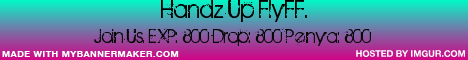 HandzUpFlyff Banner