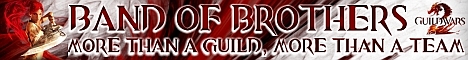 Band Of Brothers - Guild Wars 2 Banner