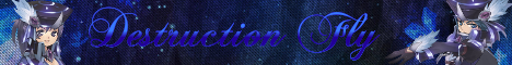 Destruction Fly  Banner