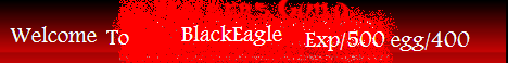 BlackEagle -P-Server Banner