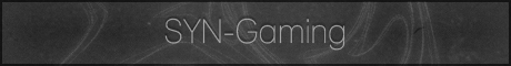 Syn-Gaming Banner