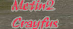 Metin2 Crayfus Banner
