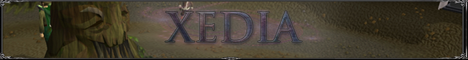 Xedia Banner