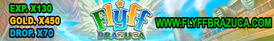 FLYFF BRAZUCA Banner