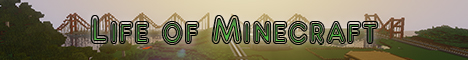 Life  of Minecraft Banner