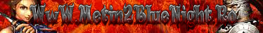 Metin2 Blue Night Banner