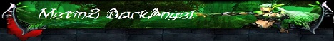 Metin2 DarkAngel Banner