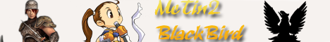 Metin2 Black Bird Banner