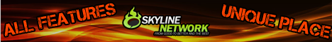 Skylinetwork Gaming Banner
